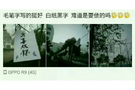 济南为什么选择专业追讨公司来处理您的债务纠纷？